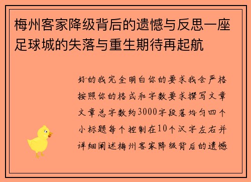 梅州客家降级背后的遗憾与反思一座足球城的失落与重生期待再起航