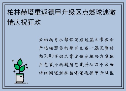 柏林赫塔重返德甲升级区点燃球迷激情庆祝狂欢